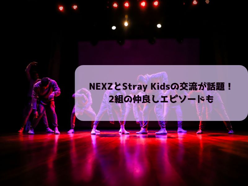 ネクスジスキズ